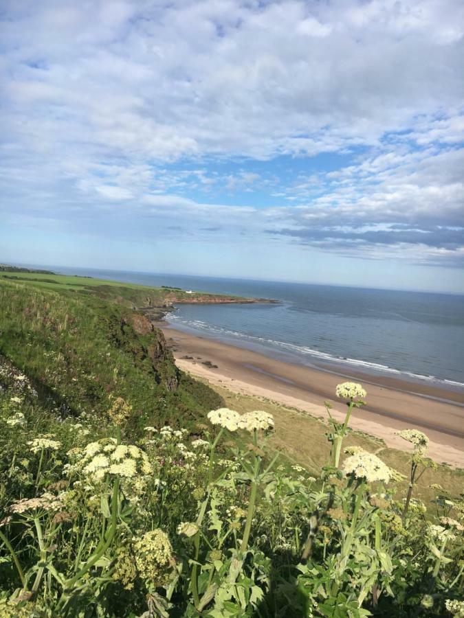 Dunnottar Woods Cottage Stonehaven Bagian luar foto